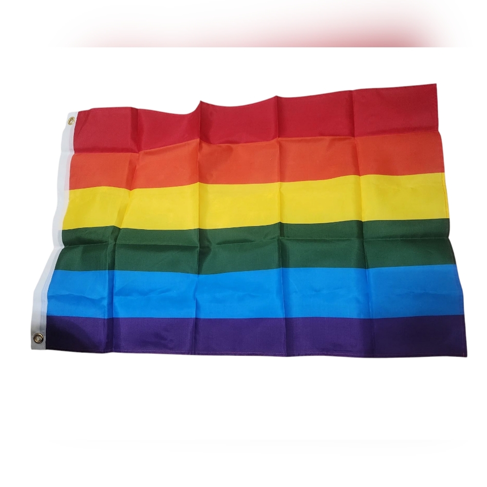 Vibrant Rainbow Party Flag